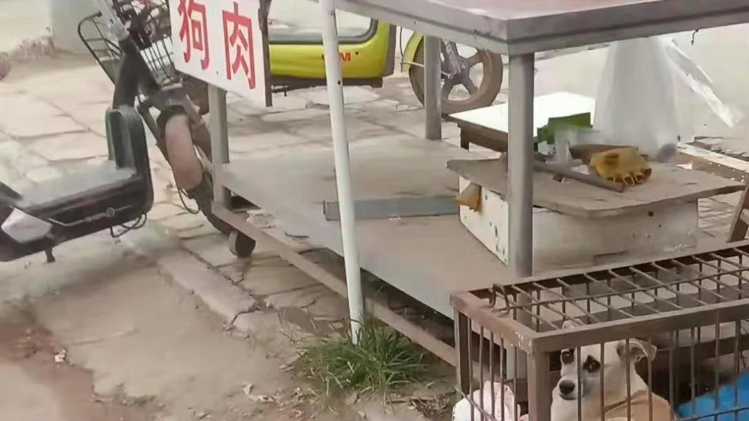待宰毛孩搖尾哭…善心男不忍想救 狗肉店老闆吐1句全場怒