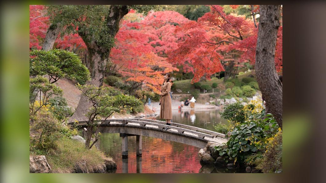 涼遊日本體驗戶外風 朝聖廣島自然系療癒景點
