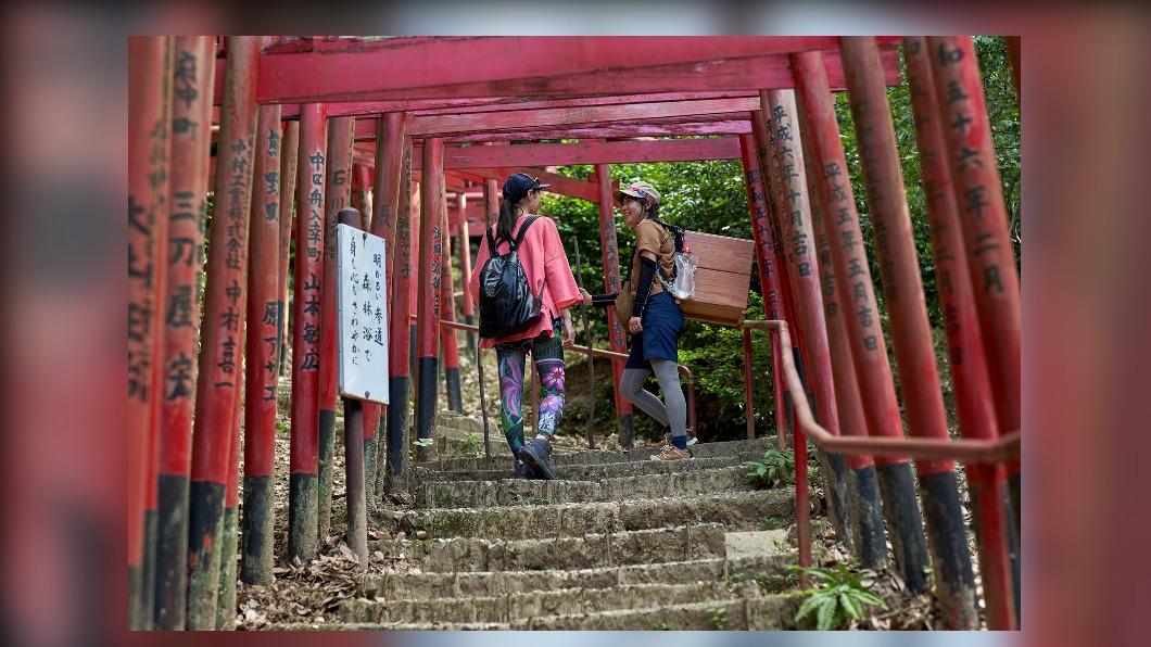 早晨的徒步之旅。(圖 / HIT廣島縣觀光聯盟 提供)