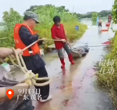 廣東省茂名市彭村湖昨有75隻鱷魚逃家，目前已抓回8隻鱷魚。（圖／翻攝自都市快報抖音）