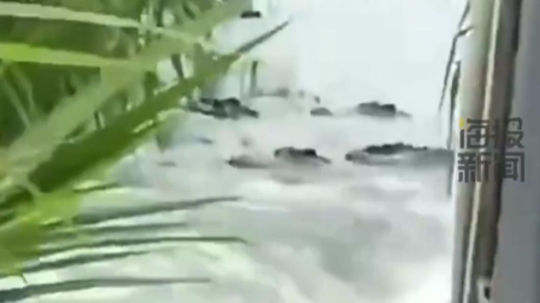 民眾拍到鱷魚浮在水面。(圖/翻攝自 微博)