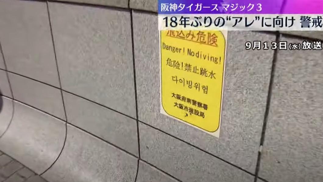阪神封王倒數!大阪派千警道頓堀站崗 防球迷太嗨又跳河