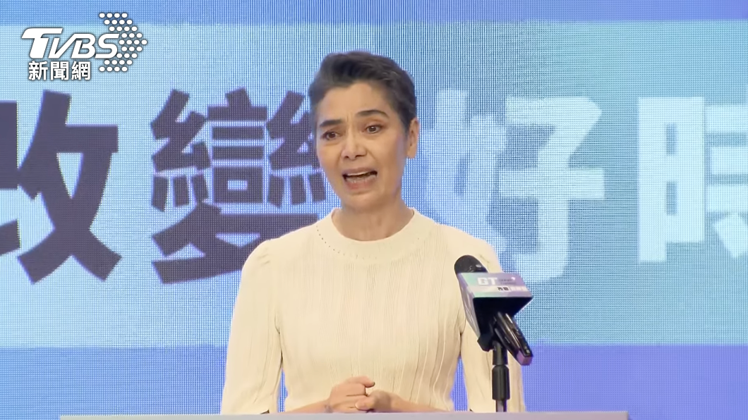 賴佩霞談及參選原因。(圖/TVBS)