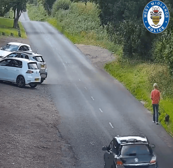 英國青年艾許無照飆車,失控衝撞路邊遛狗的老婦人。(圖/翻攝自推特@BrumPolice)