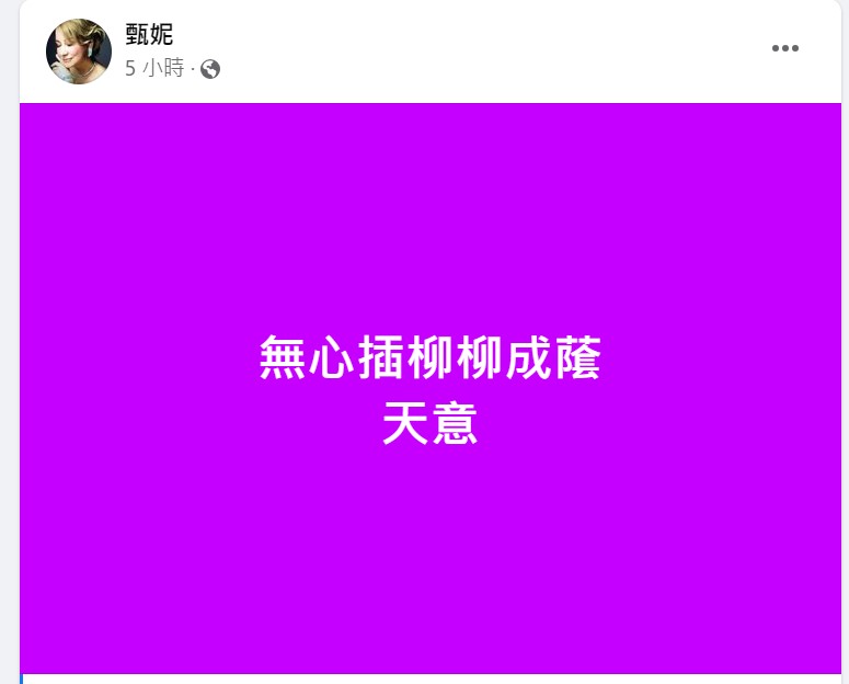 甄妮有感而發，被認為是因為賴沛霞參選。（圖／翻攝自甄妮臉書）