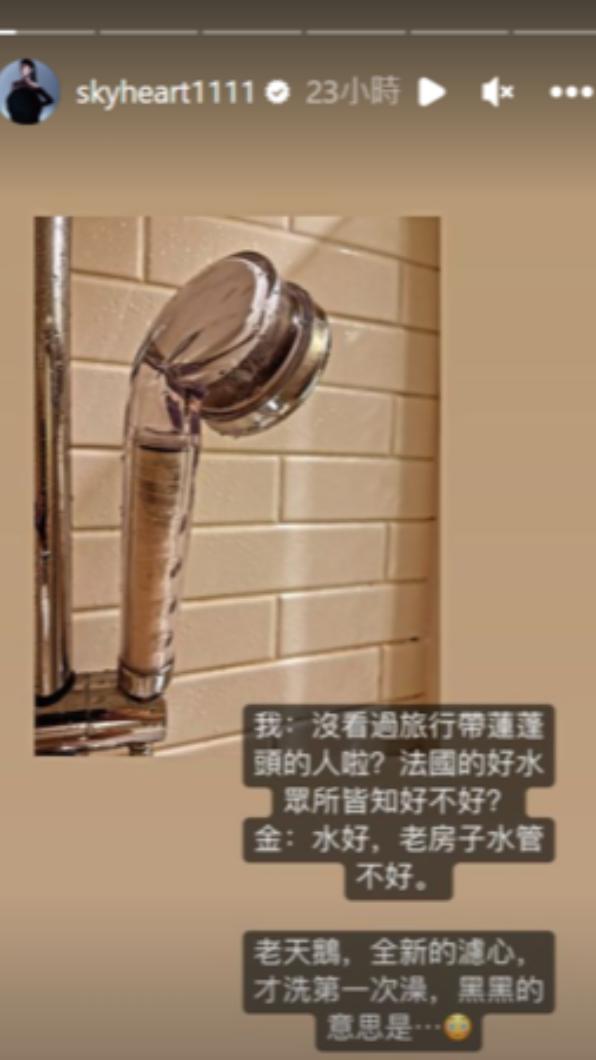 老公帶蓮蓬頭出遊，讓天心很意外。（圖／翻攝自IG＠skyheart1111）