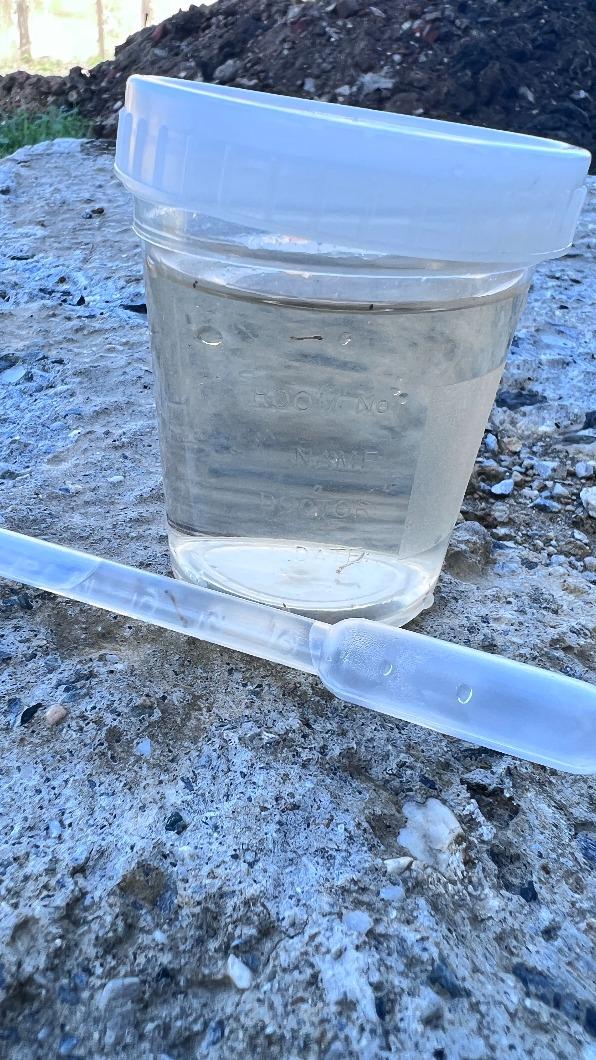 環保局人員查獲工地積水處有病媒蚊幼蟲。(圖/翻攝自台北市環保局官網)