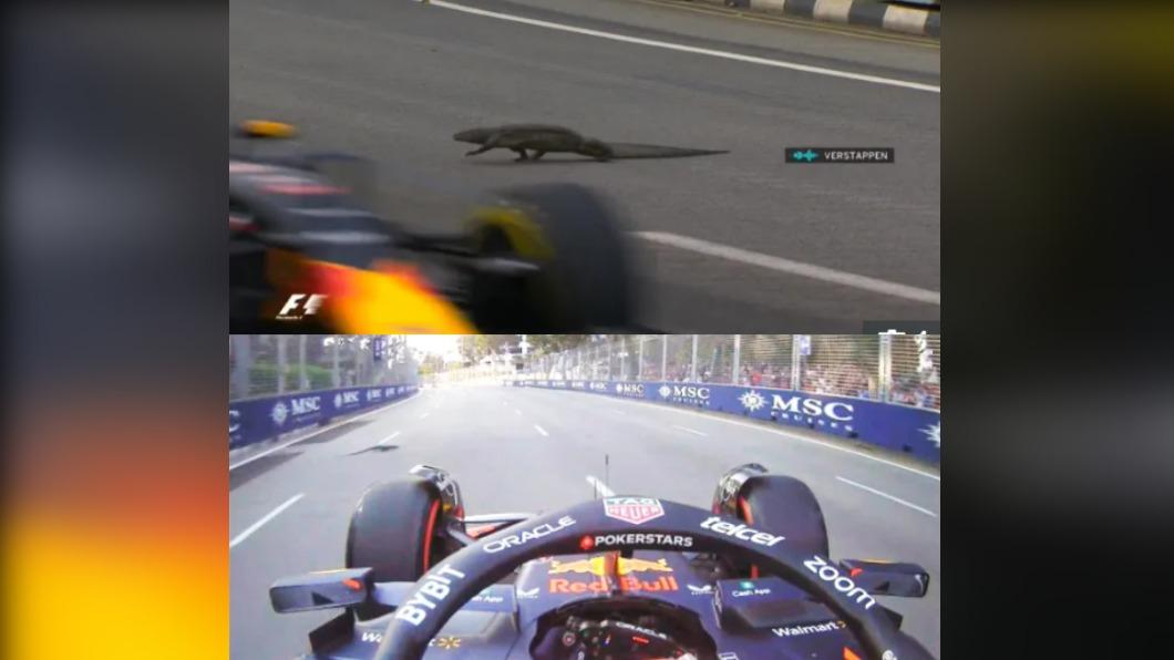 有片/巨蜥闖新加坡F1賽道遭「路殺」 澳足賽毒蛇亂入急喊停