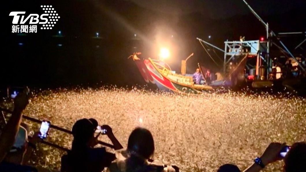 遊客搭乘觀光船,從天黑到深夜追逐蹦火船,欣賞男人與海搏鬥,百年歷史的傳統捕魚方式。圖/北觀處提供