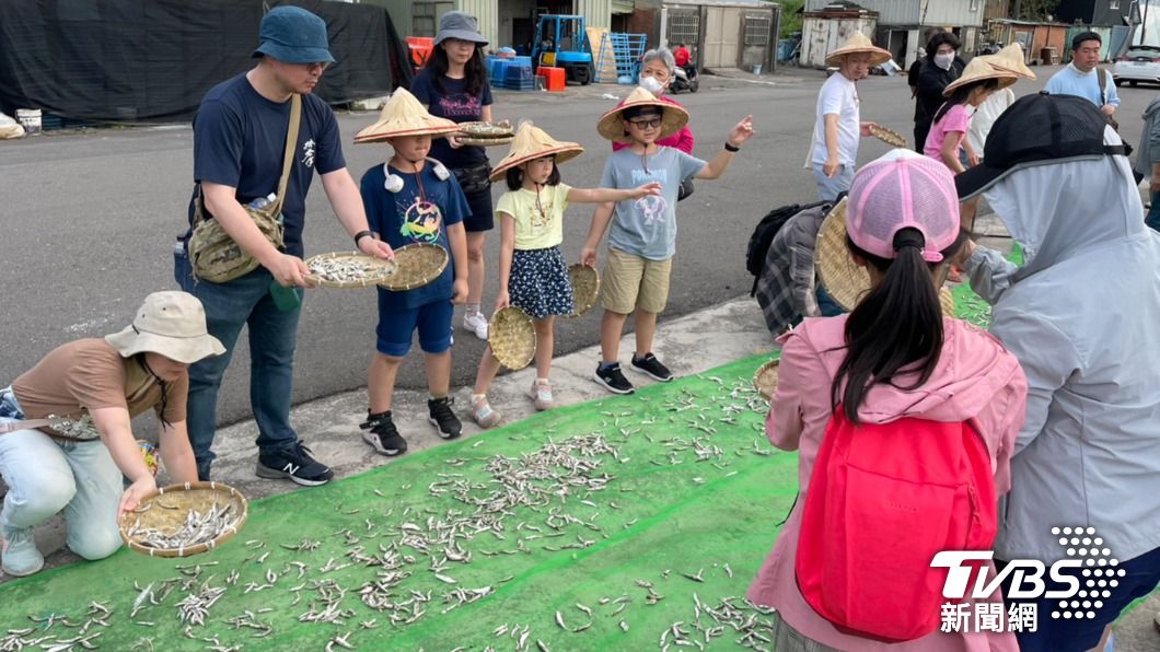 除了海上觀賞磺火捕魚的感動景象,遊客還能體驗將捕獲的青鱗魚曬成魚乾。