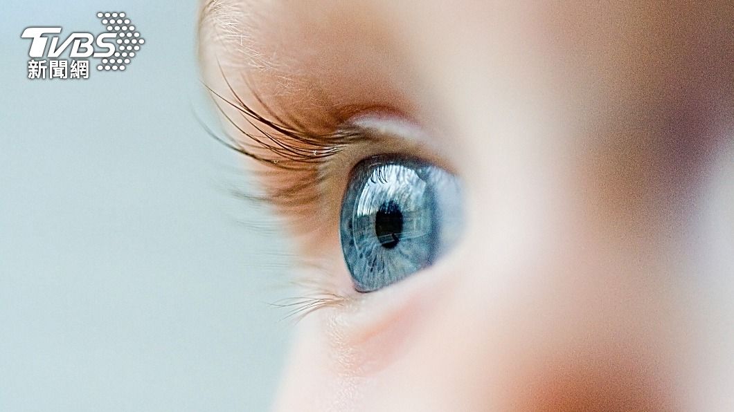 做園藝眼睛莫名紅腫　「微孢子蟲」鑽眼角膜