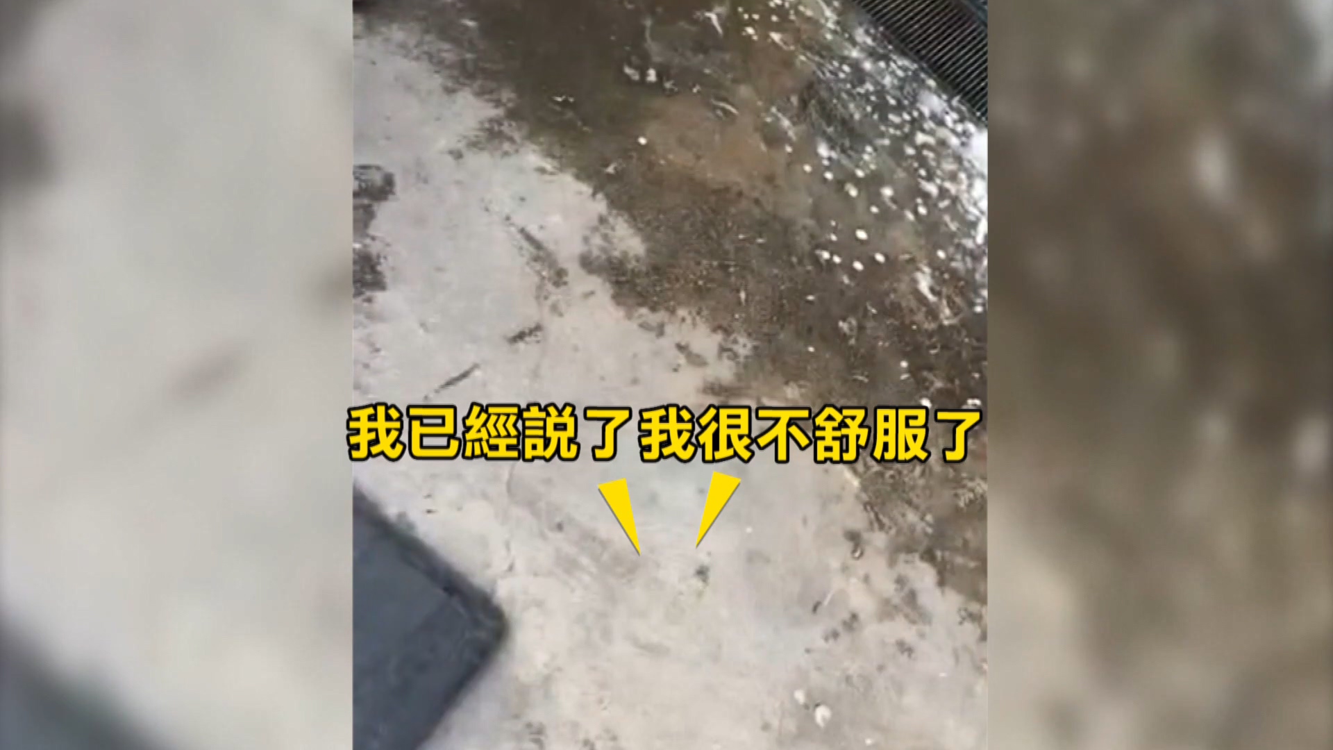 圖/翻攝自 臉書爆料公社