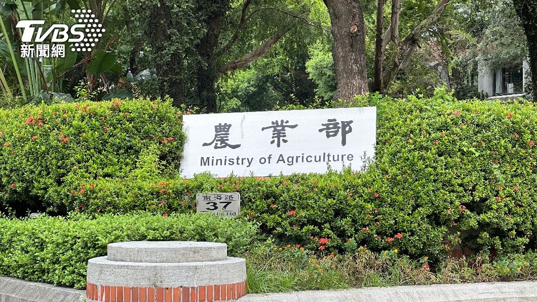 針對目前是否還有雞蛋持續進口，農業部暫無回應。（圖／呂欣芷攝）