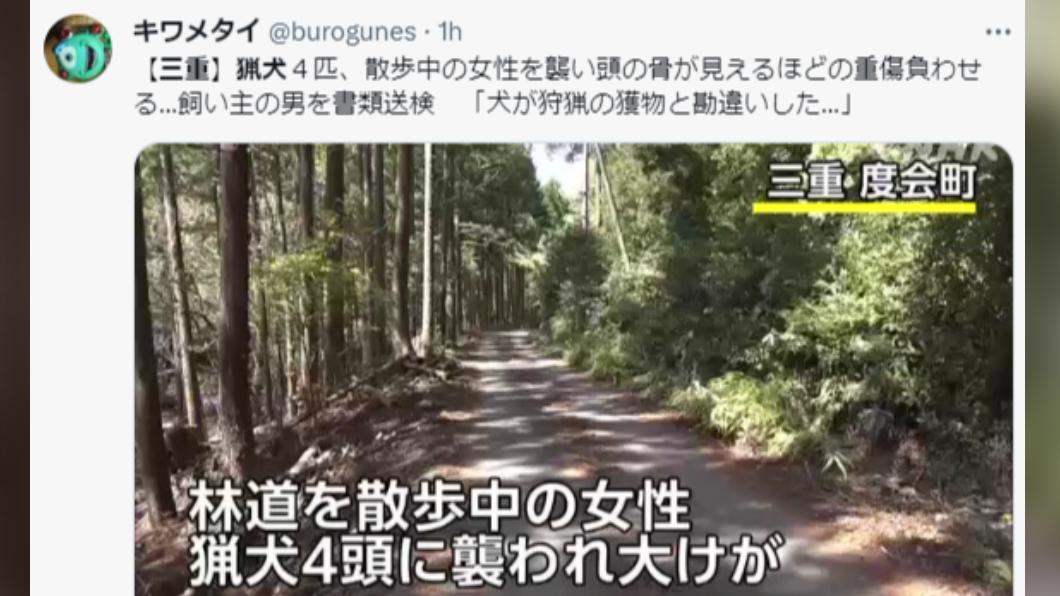 婦人在林道散步時，遭到獵犬攻擊。（圖／翻攝自推特）
