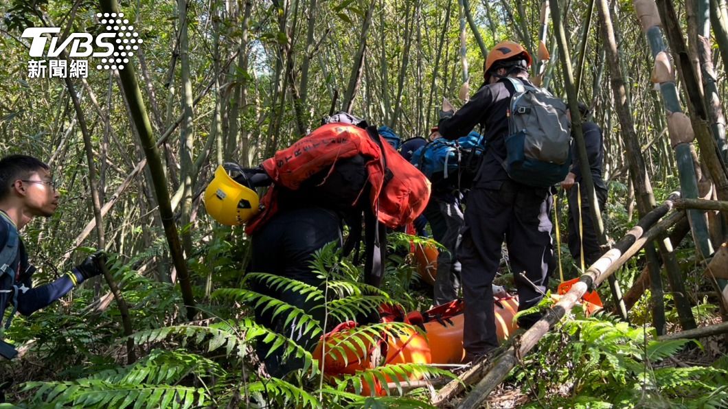 虎頭蜂螯攻擊!瑞芳2登山客搶救不治 4警消也被攻擊