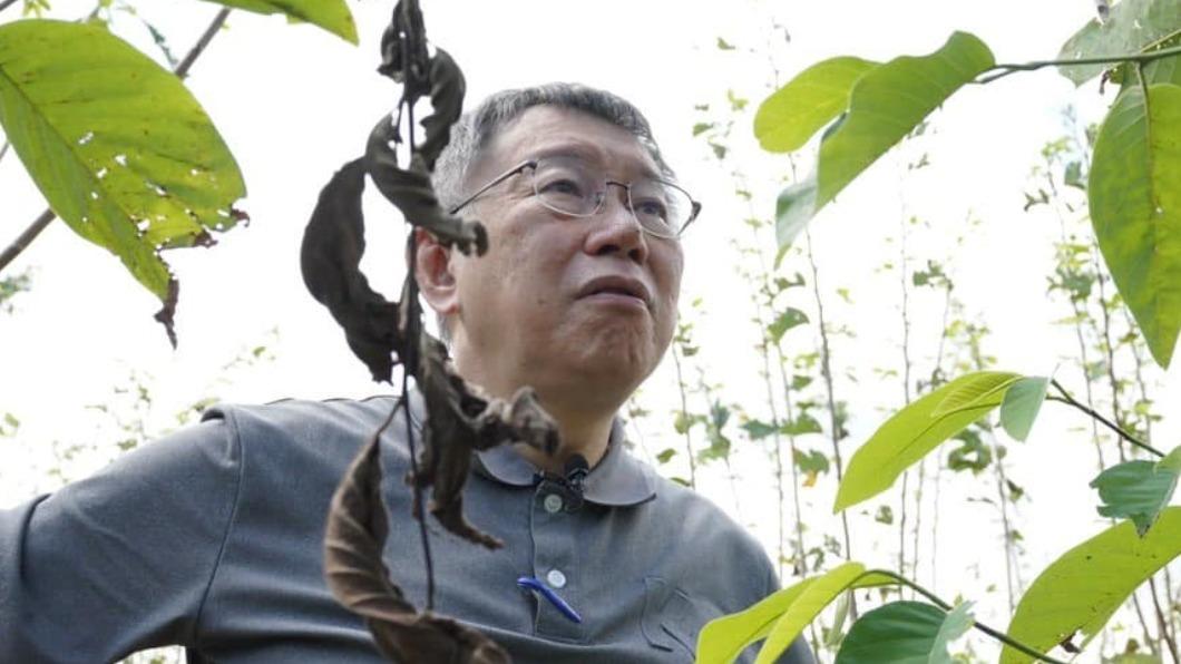遭柯文哲轟貪汙　綠提高虹安籲自省：如侯友宜談居住正義般荒謬