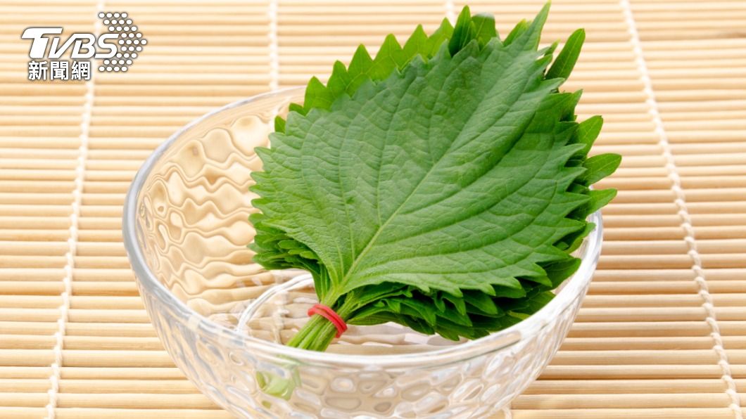 紫蘇葉利於大小腸解魚蟹之毒。（示意圖／shutterstock達志影像） 