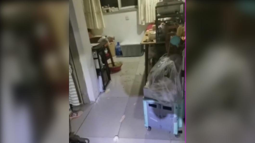 婦人還故意放食物提供給蟑螂。(圖/翻攝自微博)