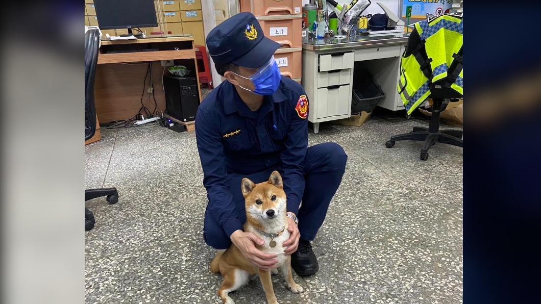 Q寶個性溫馴又愛撒嬌。(圖/翻攝自基隆警馨雲臉書)