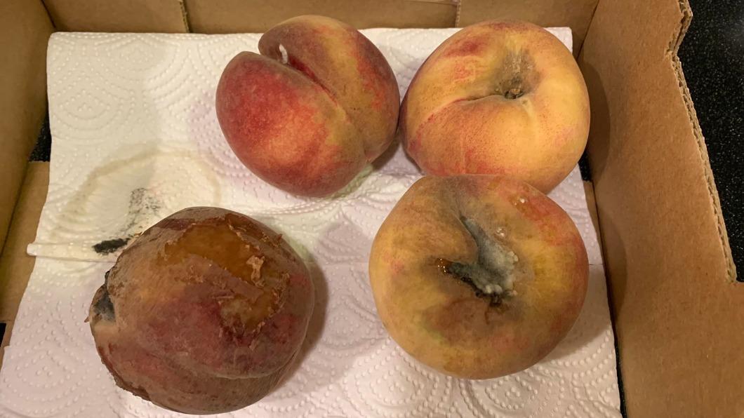 又是好市多!水蜜桃打開驚「4顆都發霉」 內行曝這時間易踩雷