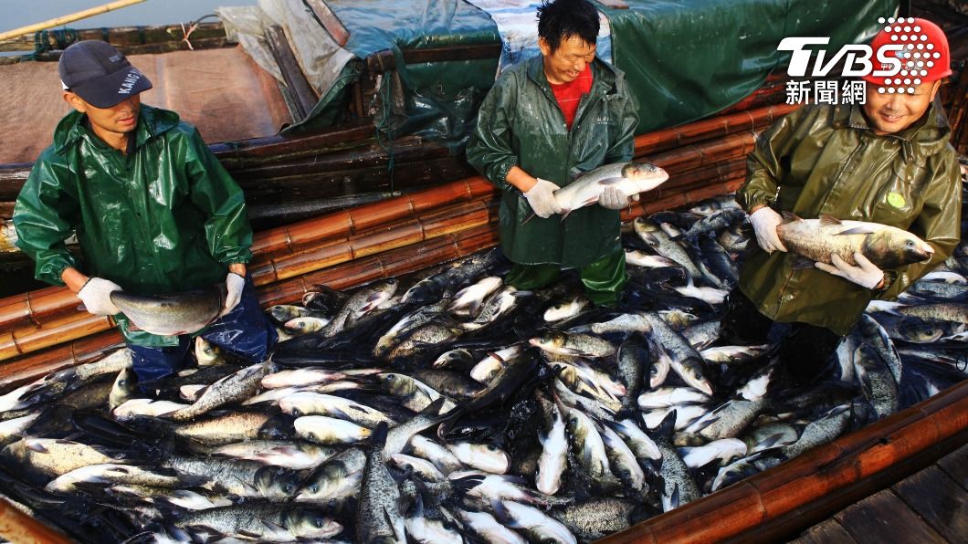 雙標?陸禁日水產 漁船卻到日本近海撈魚「視為中國產」