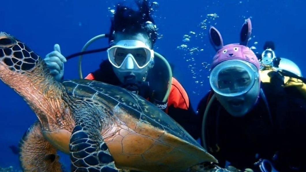 彈頭帶著家族年齡最大的阿姨首度潛入綠島大海深處。(圖/欣春廣告提供)
