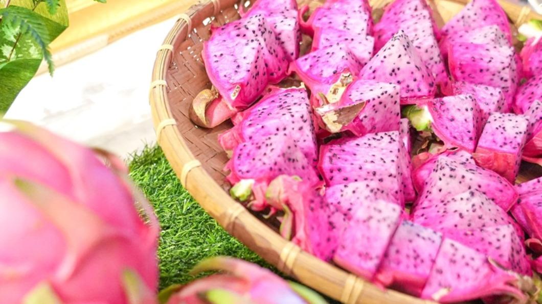 花蓮「雙色火龍果」上市!粉紅漸層果肉 比日本麝香葡萄甜