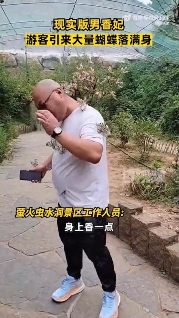 網友表示:這是真的招蜂引蝶。(圖/翻攝自西部決策)