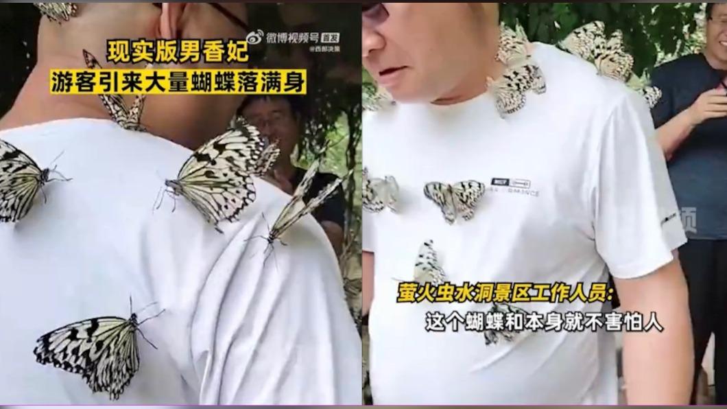 真正招蜂引蝶!男子出遊引來「大量蝴蝶」 網笑:男版香妃