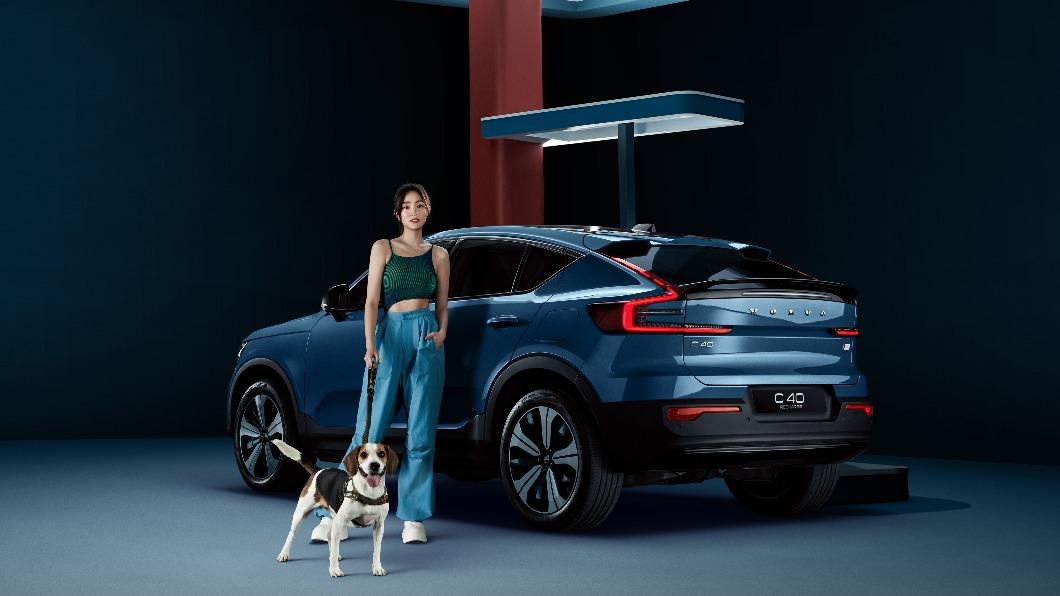 王淨攜愛狗 「勘吉」入鏡。(圖/VOLVO 國際富豪汽車提供)