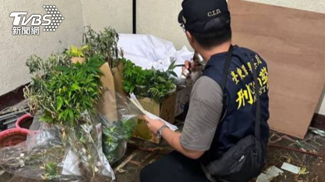 警方查獲栽種大麻的相關器具。(圖/TVBS)