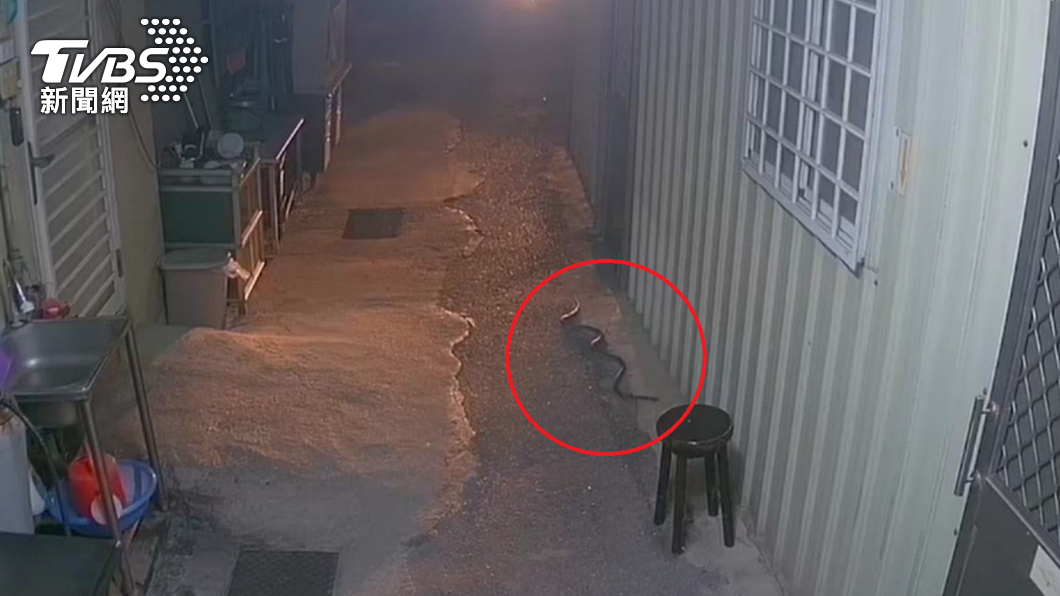 員警下班遇到蛇。(圖/TVBS)