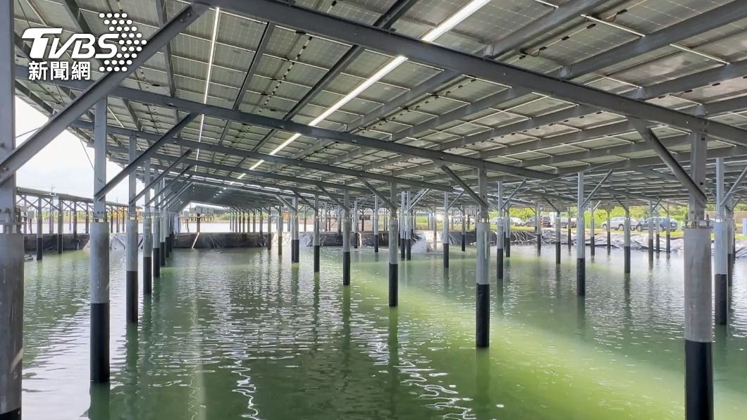 最大漁電共生廠啟用 20年將發電33億度