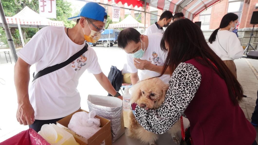 竹縣護毛小孩10/10狂犬病疫苗注射　600劑免費打