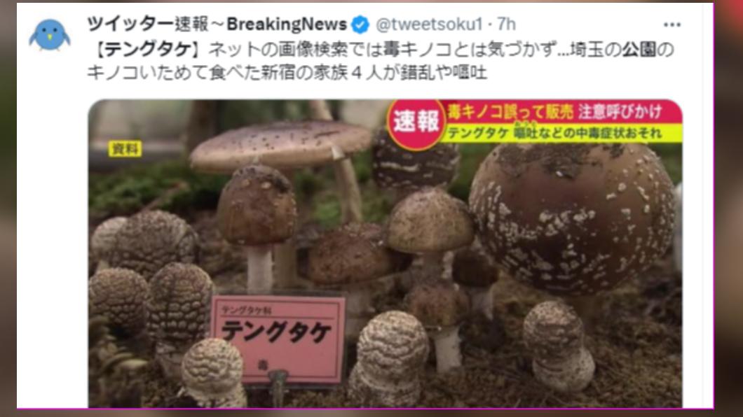 東京一家四口誤食有毒的豹斑鵝膏。(圖/翻攝自推特)