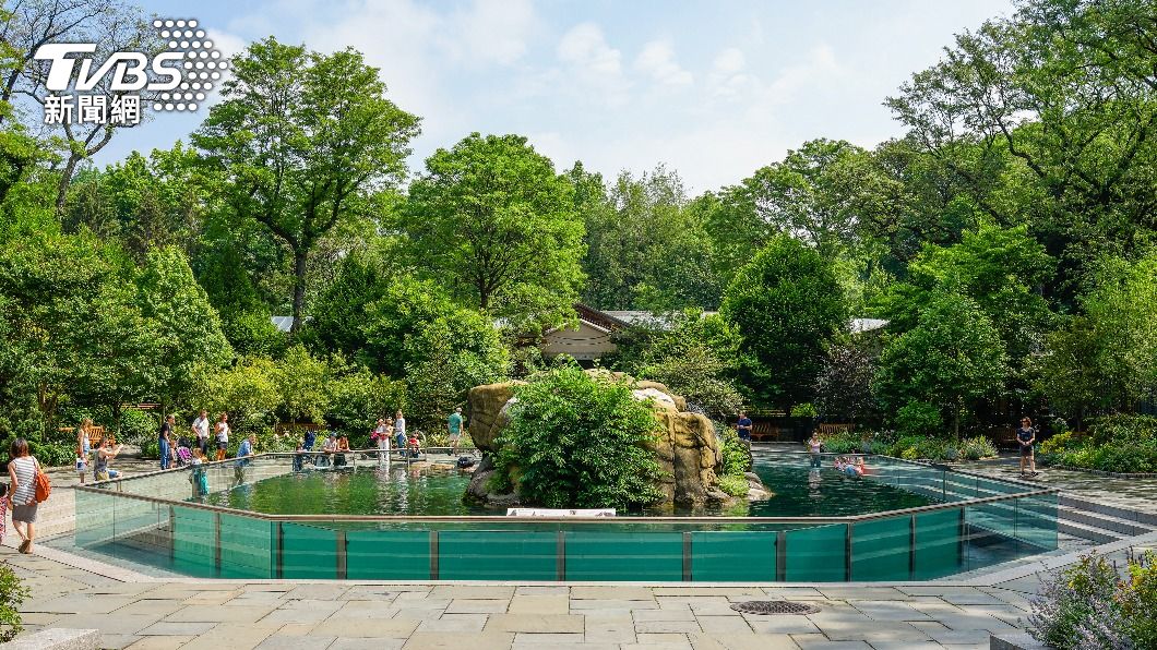 紐約中央公園動物園的海獅池。(示意圖/shutterstock 達志影像)