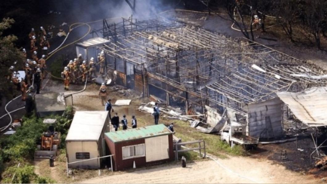 日馬術場馬廏起火!「8馬1狗」活活燒死 濃煙狂竄爆炸四起