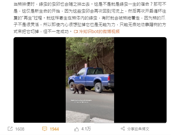 該隻棕熊的屁股後拉出一條長長的白棉線。（圖／翻攝自 微博@冷知識bot）
