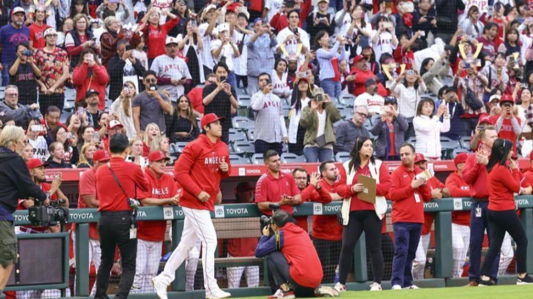 MLB/大谷翔平奪美聯全壘打王 日報社500份號外30分鐘發光