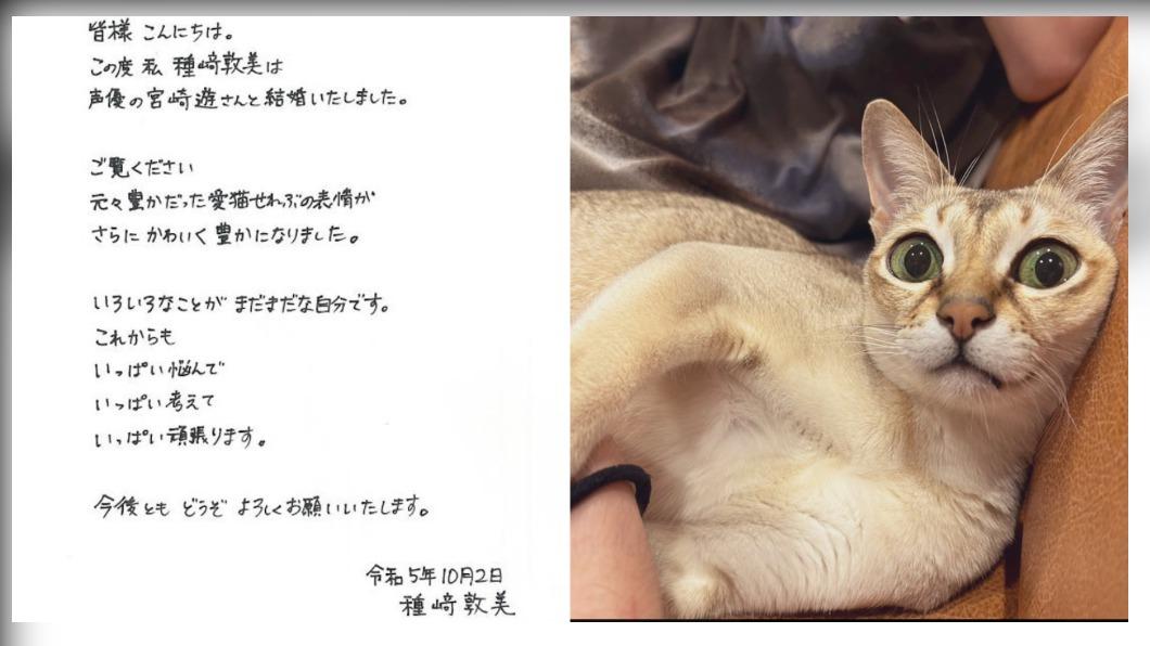 種崎敦美公開親筆信,並分享愛貓照片。(圖/翻攝自種崎敦美推特)