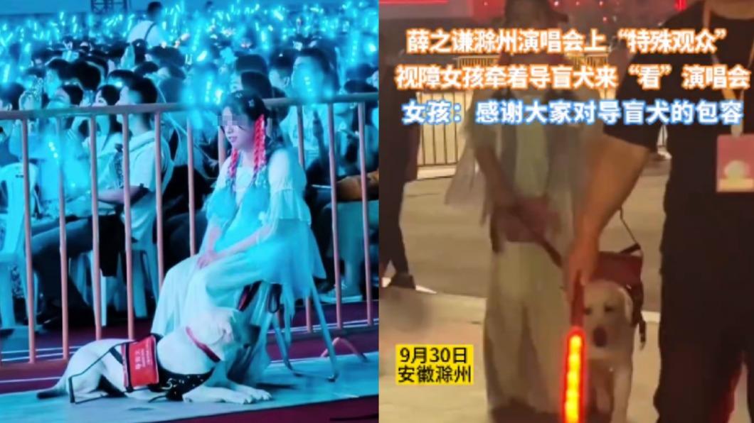薛之謙日前在安徽開唱,視障女粉絲在導盲犬以及工作人員帶領下進出場館。(圖/翻攝自嶼承謝幕微博)