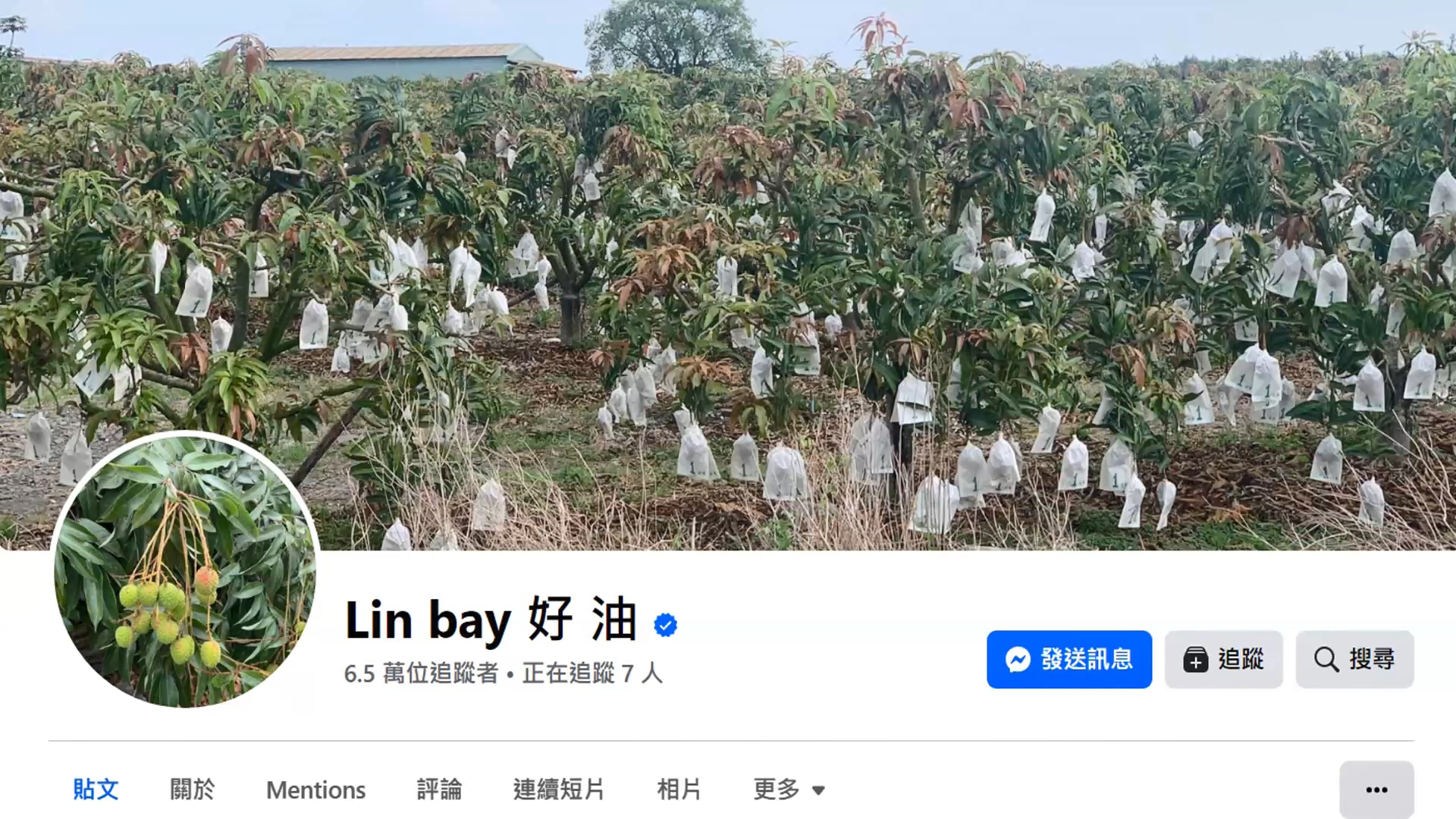 圖/畫面翻攝臉書粉專Linbay好油