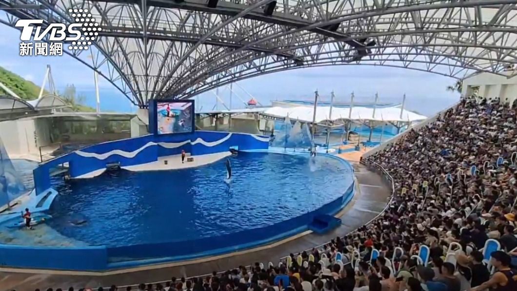 不少遊客選擇到海洋公園度過連假。（圖／TVBS）