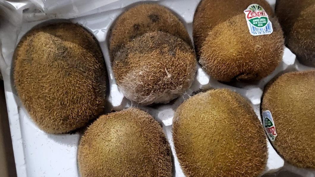 品管睡著?她好市多買1箱奇異果 回家驚見「發黑長白毛」