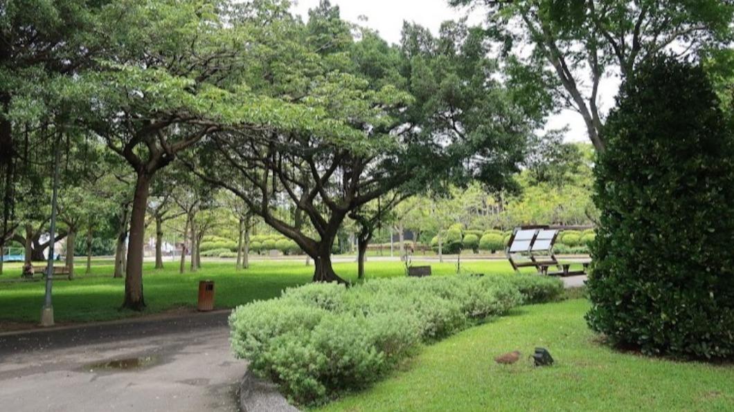 遭YTR拐草叢硬來!醉女花博遇狼 慘被撿屍「噁扒褲猛塞」