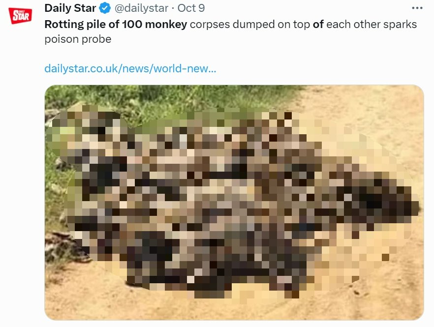 專家推測猴子死亡恐是人為導致。(圖/翻攝自 X@Daily Star)