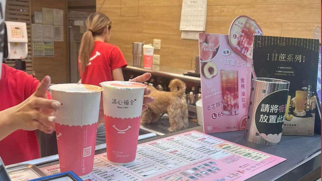 店員摸狗沒洗手直接做飲料 清心福全道歉:停業大消毒