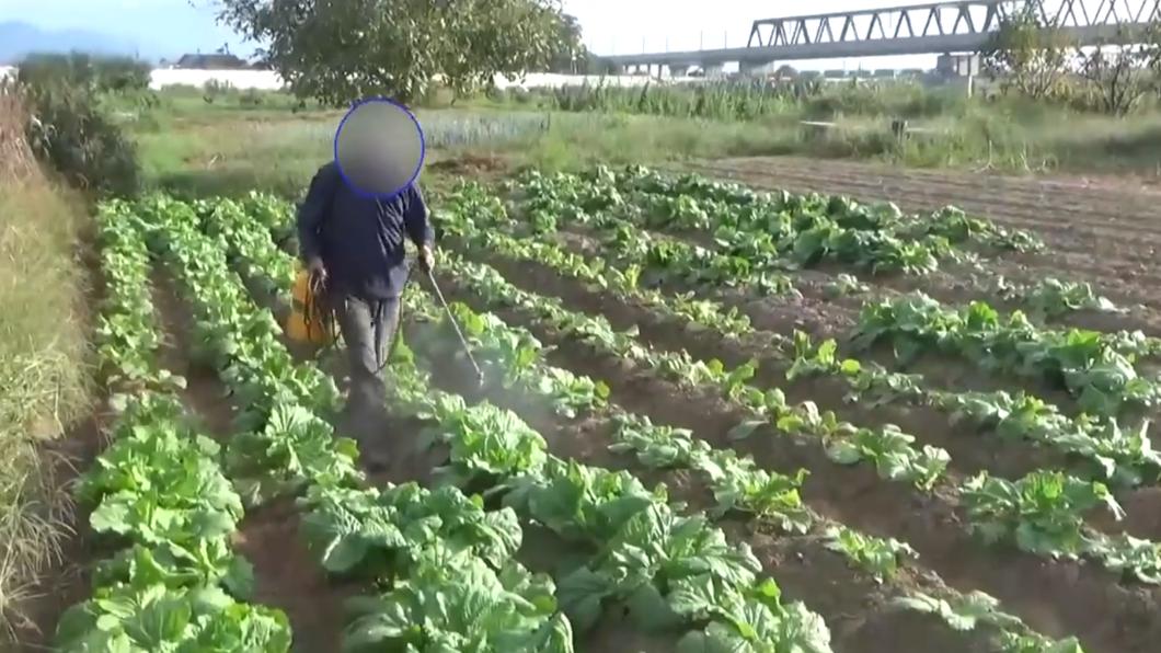 警告全被無視！8旬中國老翁佔日本國有地「種黑田」趕不走