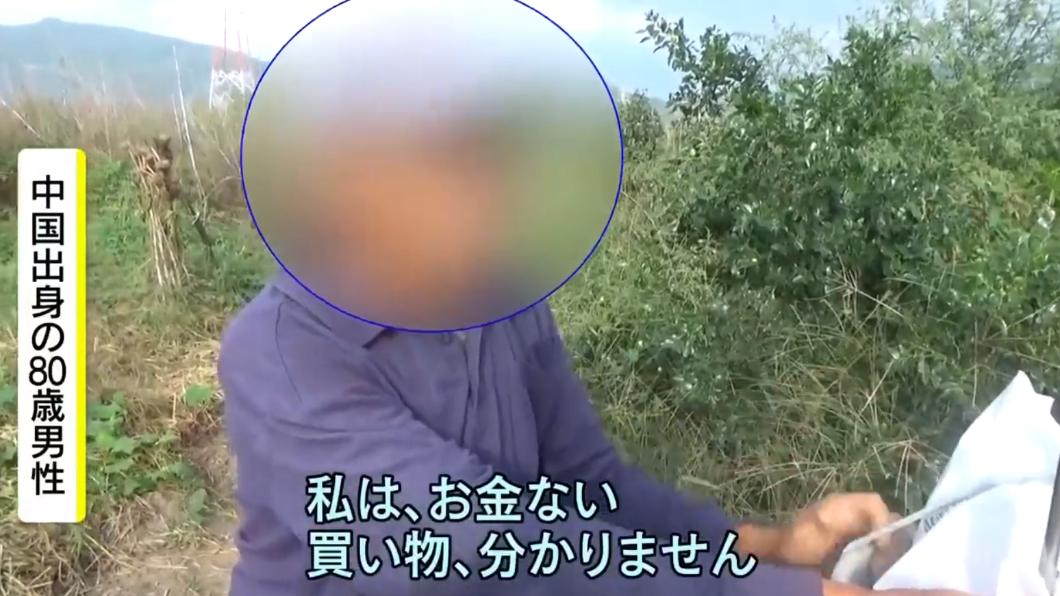 種菜的老翁自述自己已經80歲,來自中國。(圖/翻攝自NBS長野放送ニュースYT頻道)