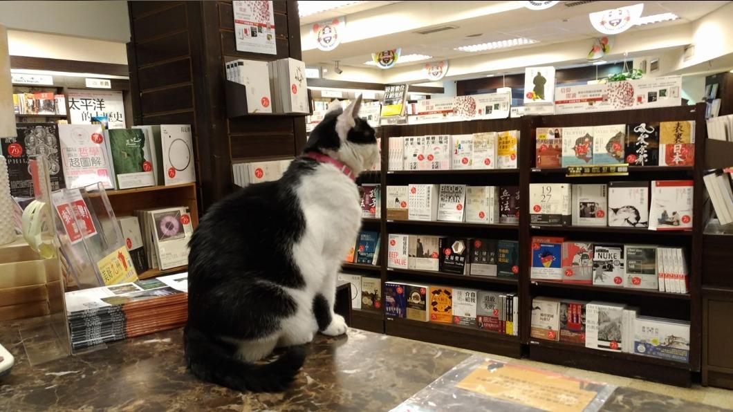 實體書店再少一間!35年金石堂信義店要熄燈 結束營業推折扣